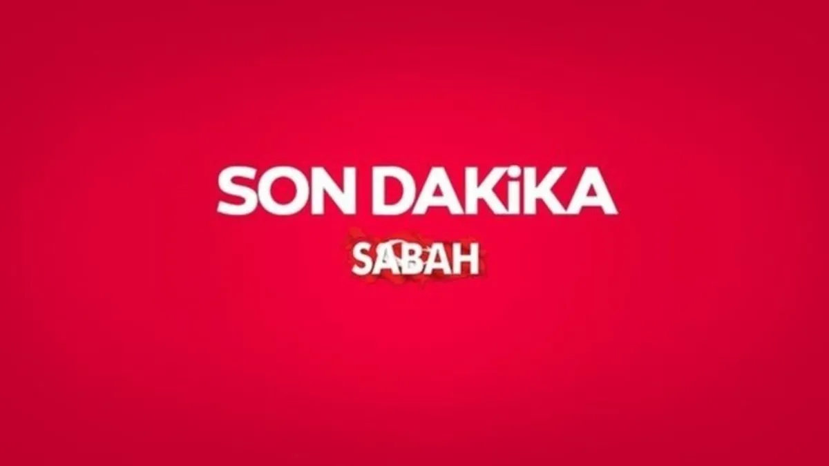 SON DAKİKA I İçişleri Bakanlığı duyurdu: Saray Belediye Başkanı Davut Acar'a soruşturma açıldı! 5 yaşındaki Hamza sahipsiz köpeklerin saldırısına uğramıştı…