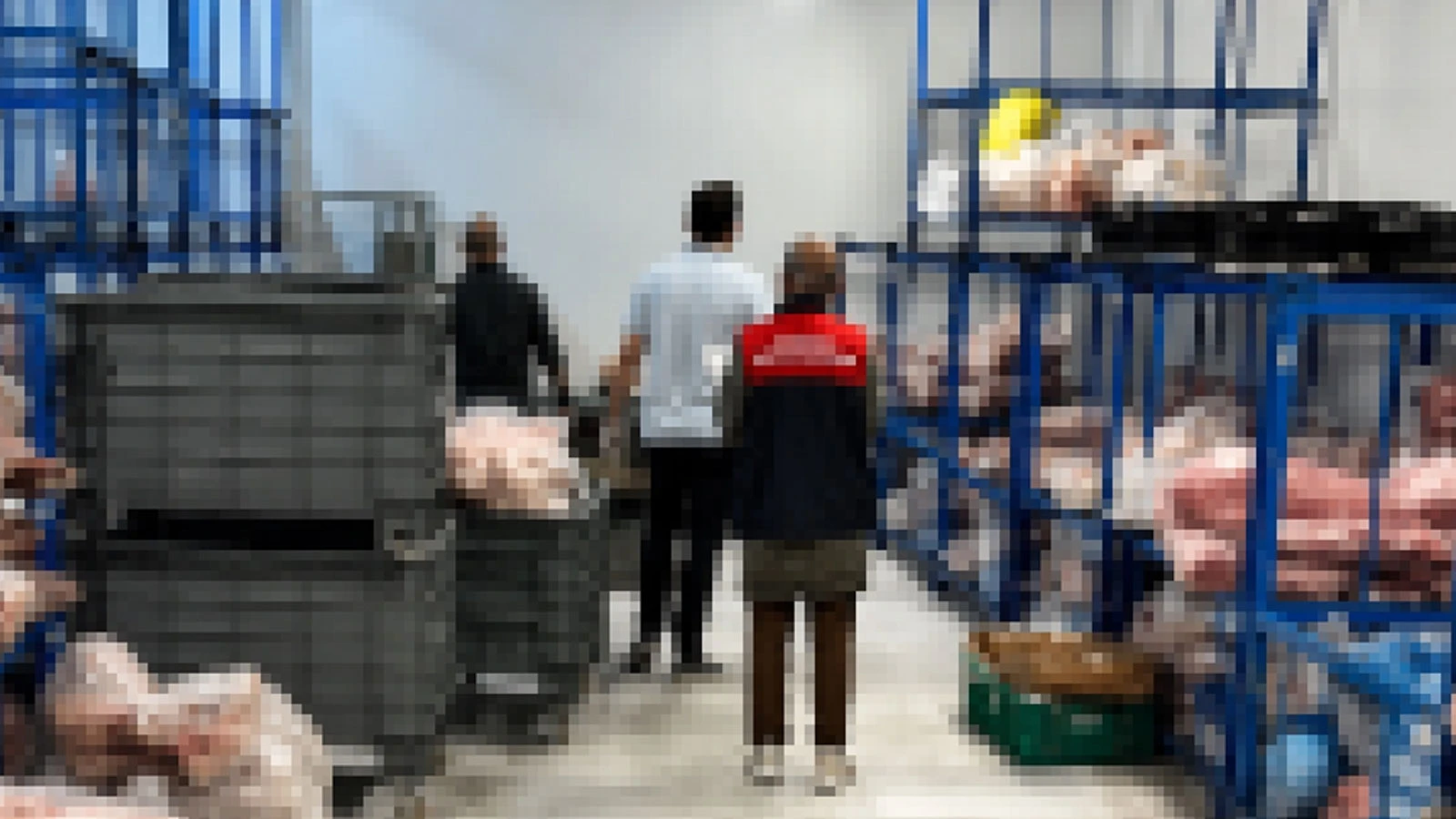 Uygunsuz koşullarda saklanan tonlarca kilo kırmızı et ele geçirildi