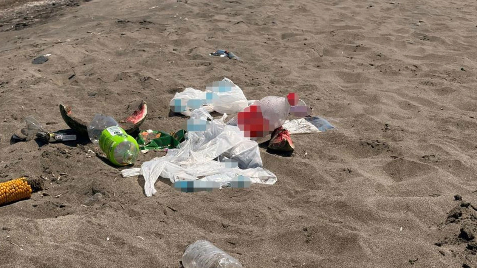 Samsun sahilindeki çevre kirliliği tepkiye neden oldu