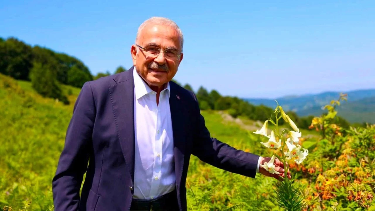 Ordu'da görürseniz sakın dokunmayın! 699 bin TL cezası var