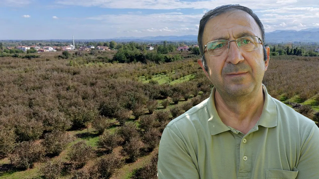 Hem maliyet azalıyor hem süreç hızlanıyor! Hasat öncesi kritik uyarı