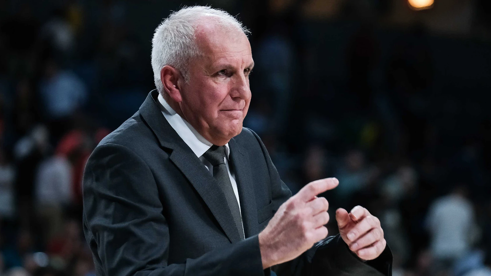 Panathinaikos, Zeljko Obradovic'i resmen duyurdu