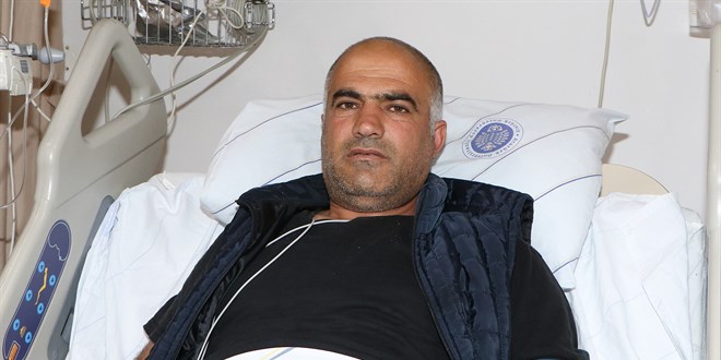 30 yıldır güvenle topladığı mantar bu kez yoğun bakımlık etti