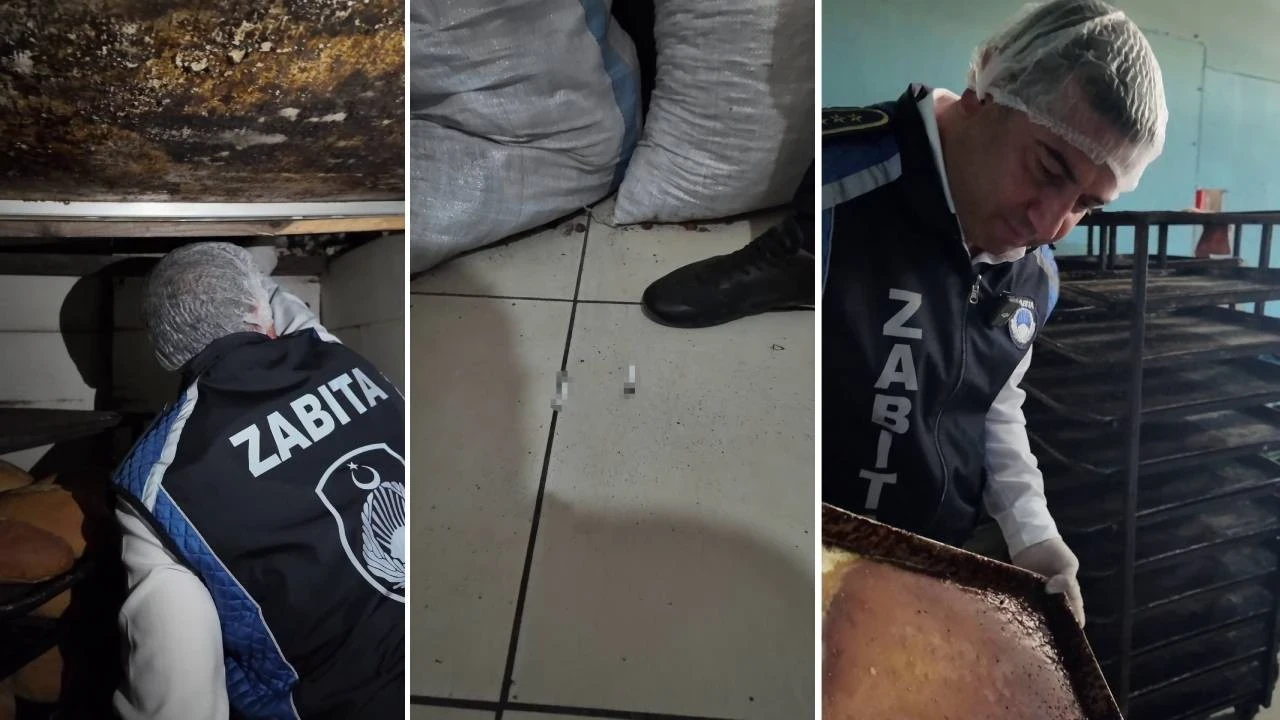 Fırın değil mikrop yuvası! İçinden çıkanlar mide bulandırdı: Şunun içinden çıkan ekmek yenir mi!