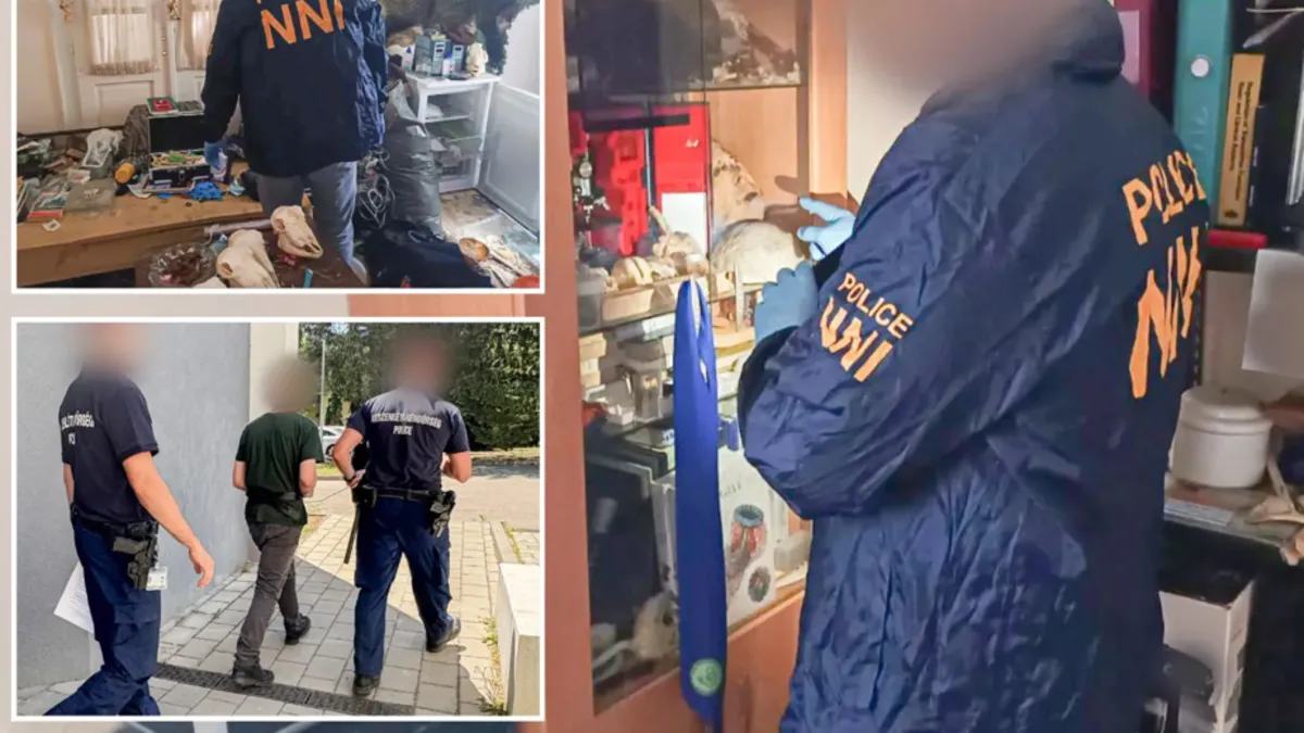 Mezarlardan çalınan cesetler ülkeyi sarstı! Yemek için vücut parçalarını çaldım