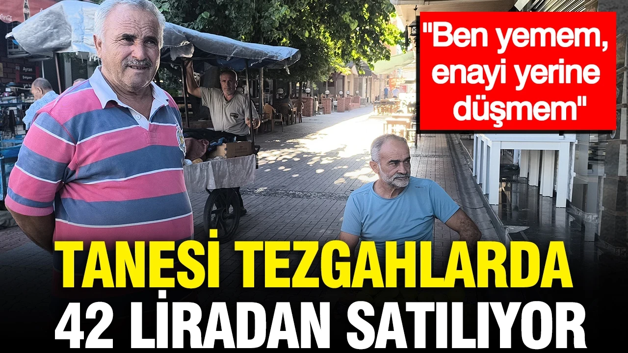 Tanesi tezgahlarda 42 liradan satılıyor: "Ben yemem, enayi yerine düşmem"