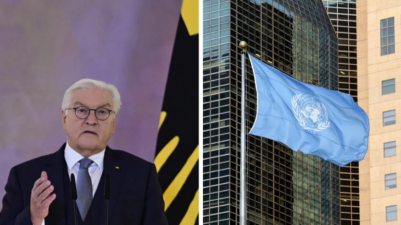 Almanya Cumhurbaşkanı Steinmeier BM'yi hedef aldı: Kendini değiştirmeli