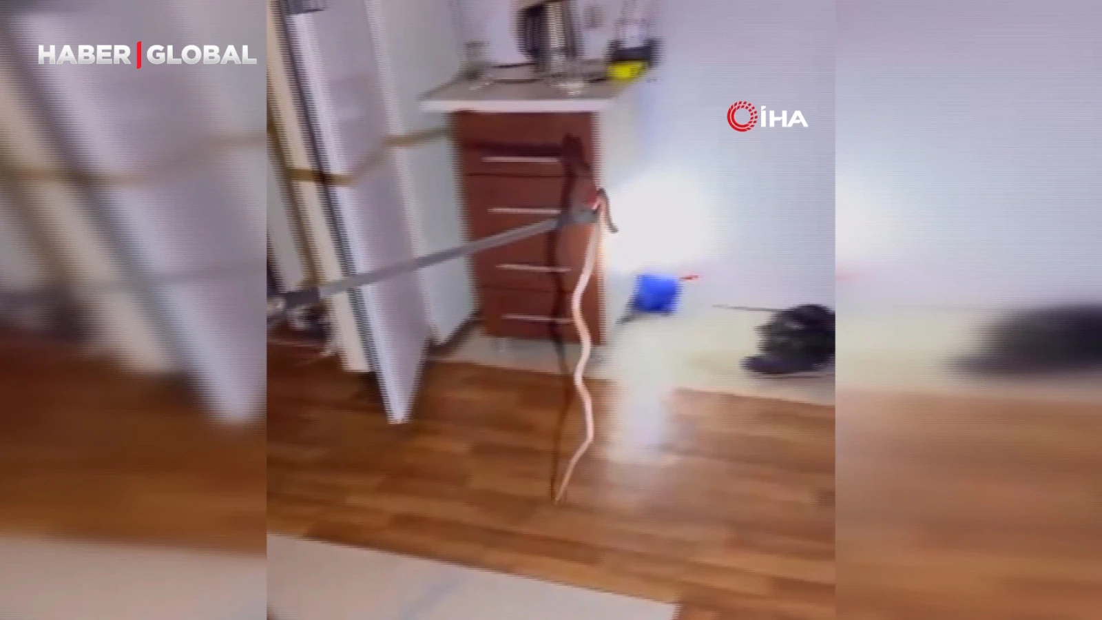 Buzdolabını açtı yılanla karşılaştı