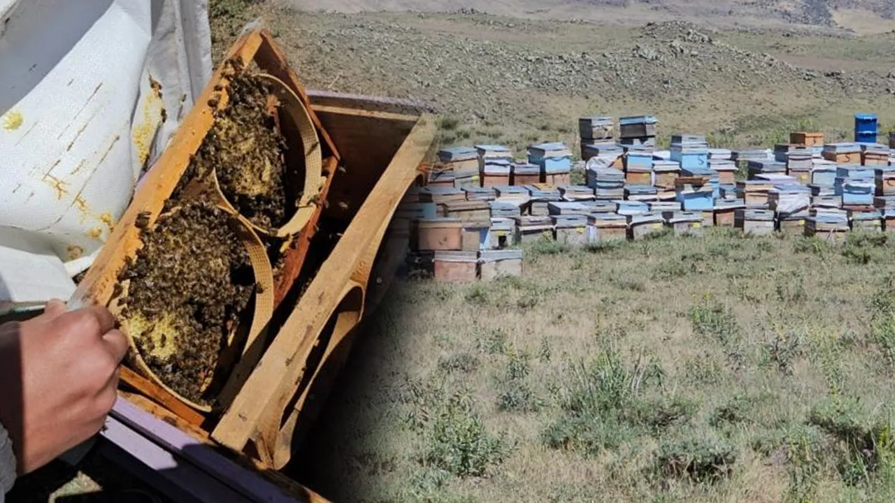 Süphan Dağı'nın gizli hazinesi... "Altın sıvı" için rekor beklenti