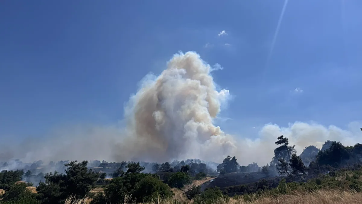Balıkesir'deki orman yangınına müdahale ediliyor