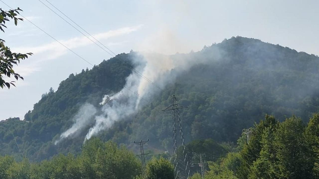 Tosya'da orman yangını çıktı
