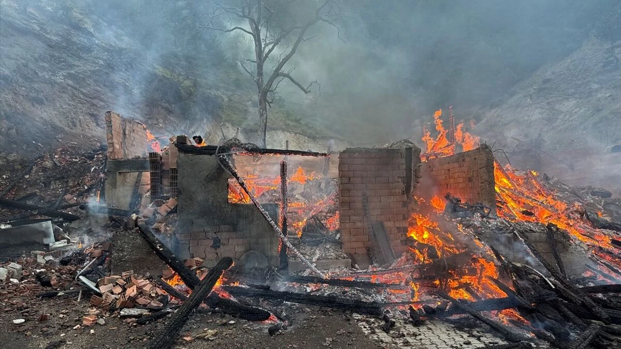 Kastamonu'da bir evde çıkan yangın ormanlık alana sıçradı
