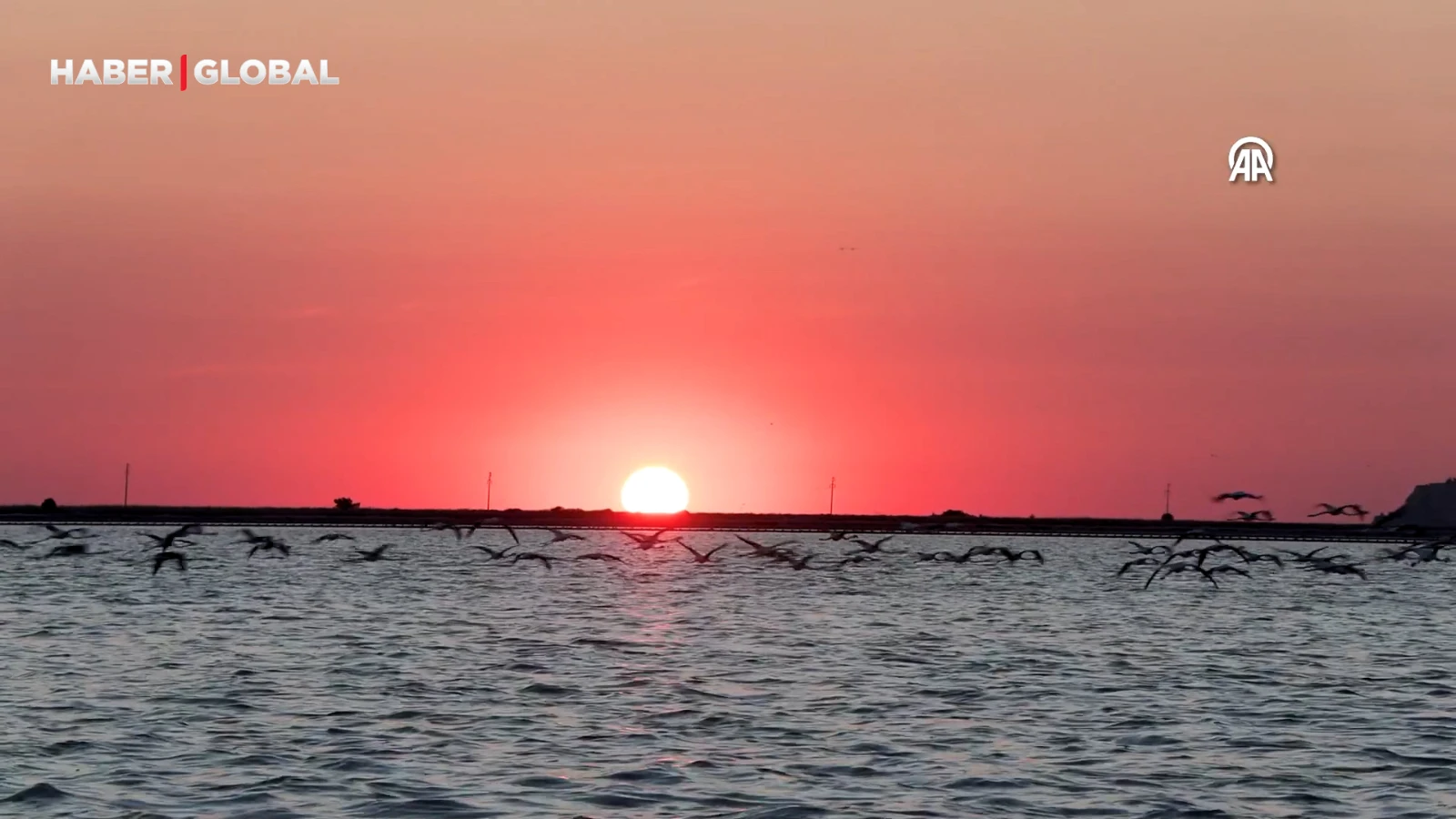 Gediz Deltası'ndaki yapay flamingo adası yavrularla şenlendi