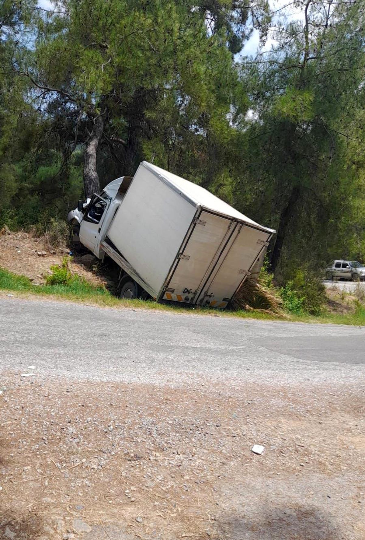 Alanya'da kamyonet ağaca çarptı: 1 ölü, 1 ağır yaralı