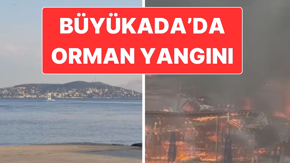 İstanbul’daki Büyükada’da Plajda Başlayan Yangın Ormana Sıçradı