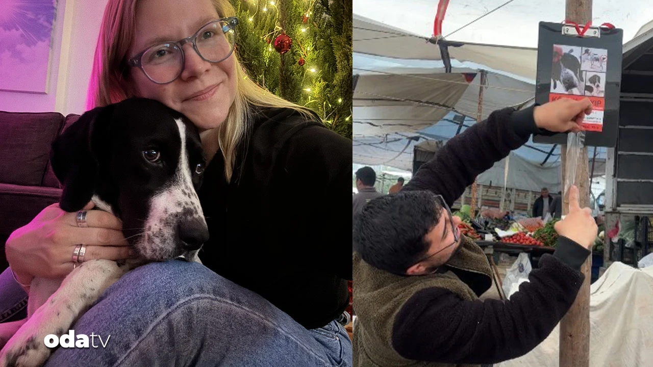 Köpeği 'Biba'yı bulana 25 bin TL ödül