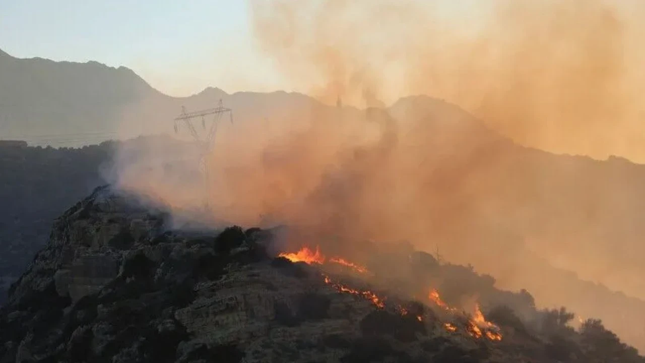 Girit Adası'nda orman yangını