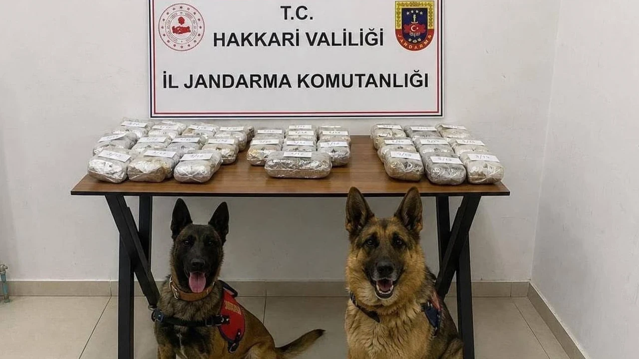 Hakkari'de uyuşturucu operasyonu: 21 kilo 650 gram esrar yakalandı