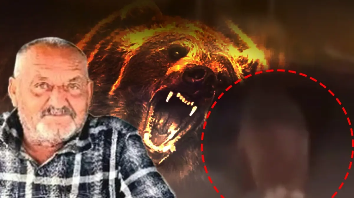 Kanepede vahşi olay! Ayı saldırısında can verdi