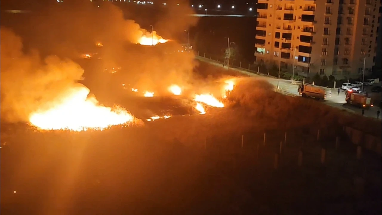 Nusaybin sınırında çıkan anız yangını mayınlı bölgeye sıçradı