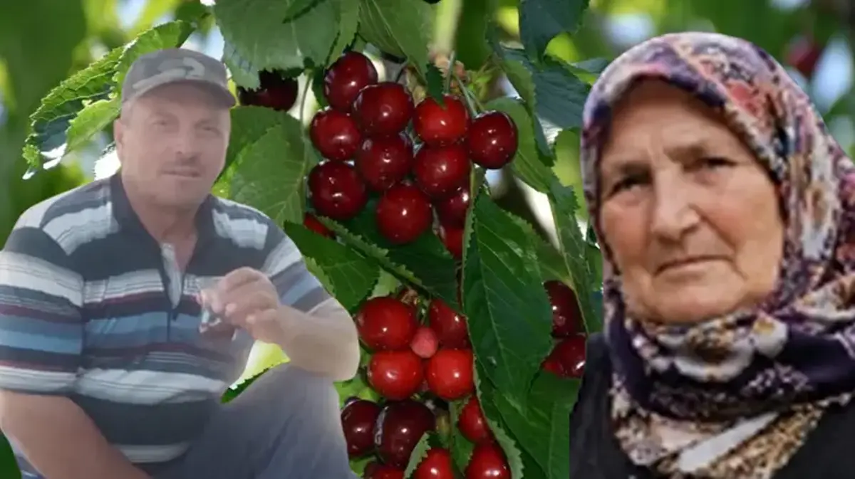 Kiraz yedikten sonra ölen adamın eşi de hayatını kaybetti