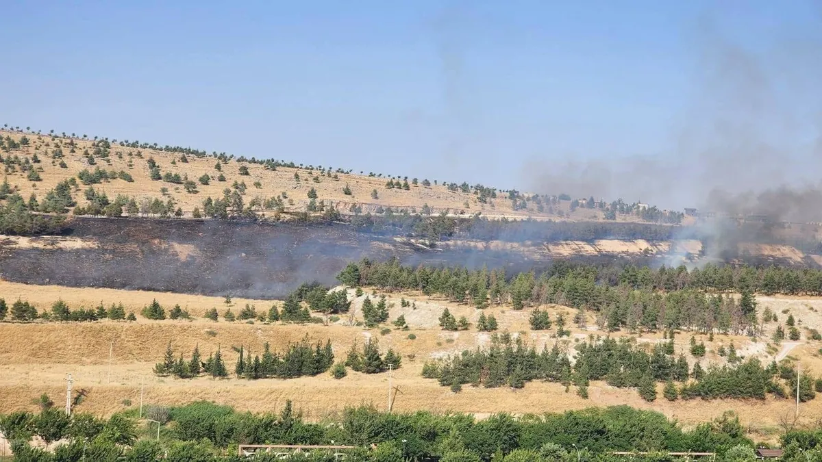 Şanlıurfa'da ormanlık alanda yangın çıktı! Ekiplerin müdahalesi sürüyor