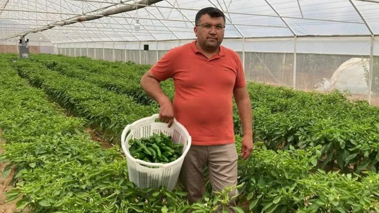 Talep azalmıyor! Fiyatı 350 lira ama yok satıyor