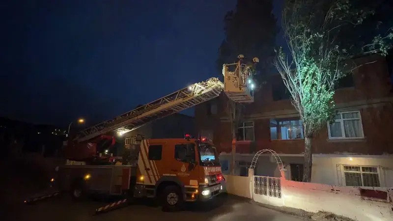 Maltepe'de fırtına nedeniyle dalları kırılan ağaç 2 katlı binaya yaslandı