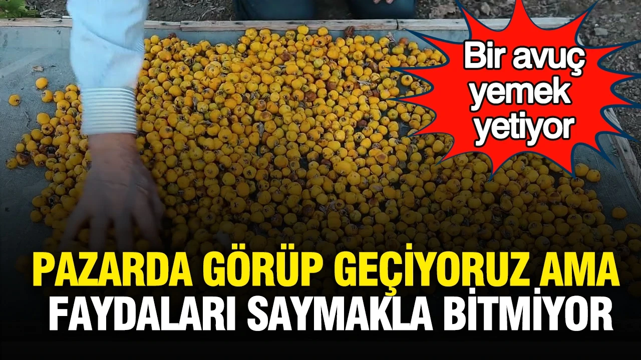 Pazarda görüp geçiyoruz ama faydaları saymakla bitmiyor: Bir avuç yemek yetiyor