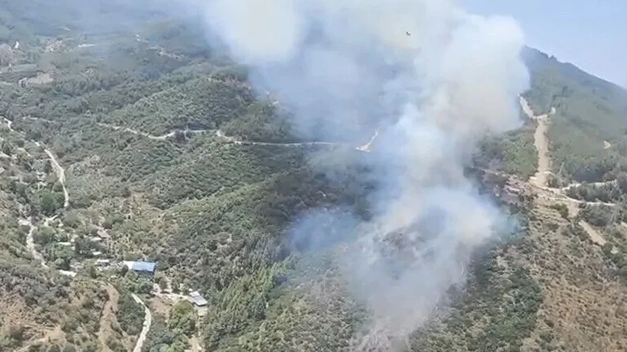 Kütahya'da orman yangını