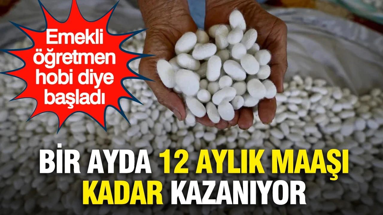 Emekli öğretmen hobi diye başladı: Bir ayda 12 aylık maaşı kadar kazanıyor