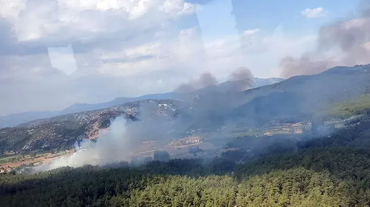 Muğla'da tarım arazisinden başlayan yagın ormana sıçradı