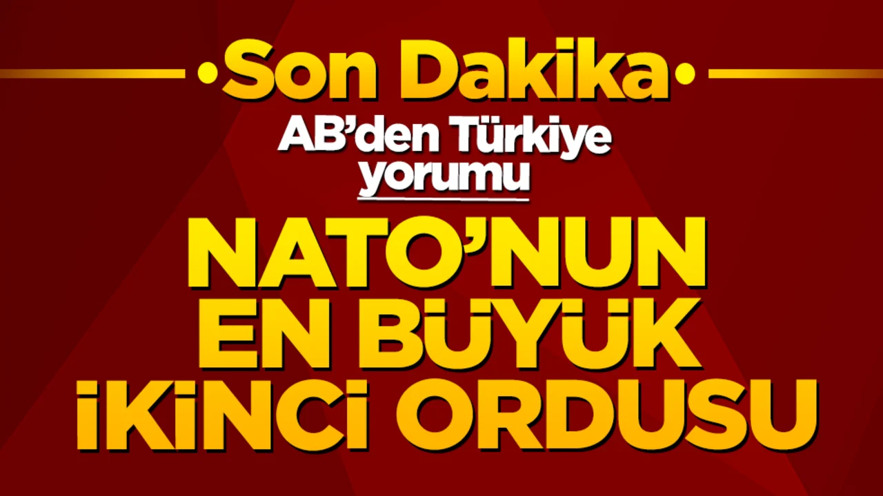 AB’den Türkiye yorumu: NATO'nun en büyük ikinci ordusu