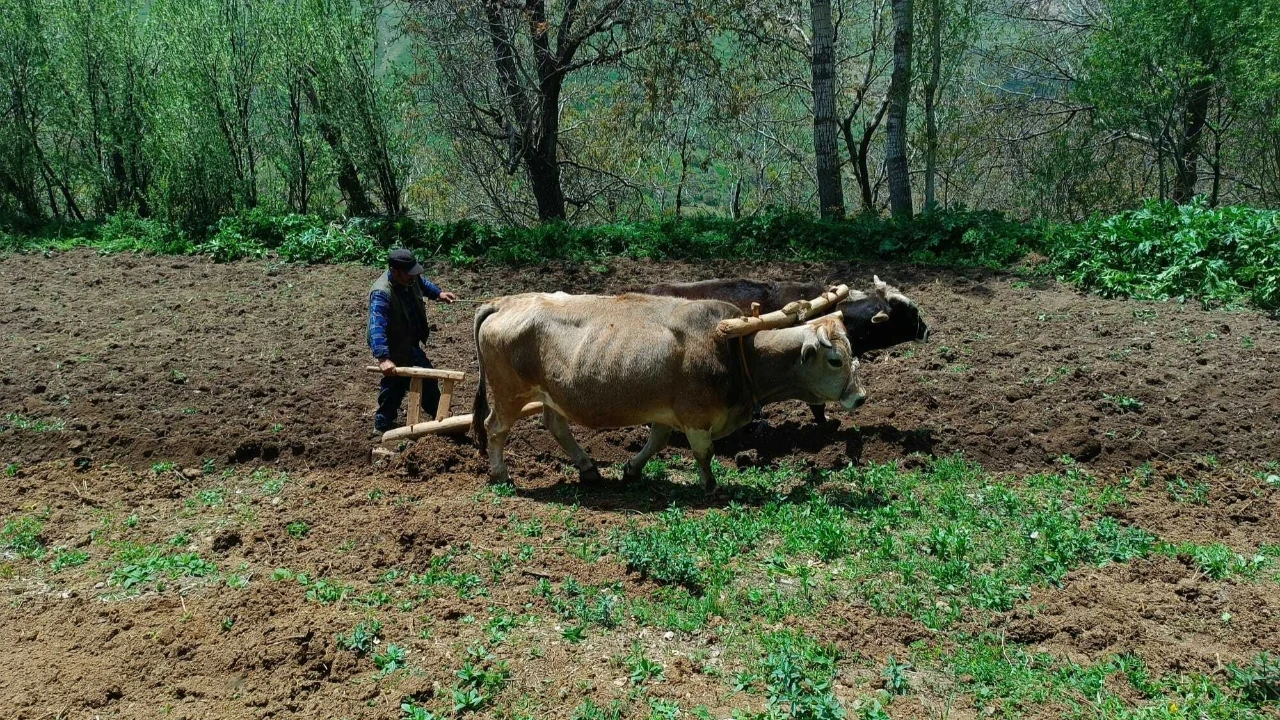 Sabana döndü, isyan etti: 21. yüzyılda halimizi görüyorsunuz