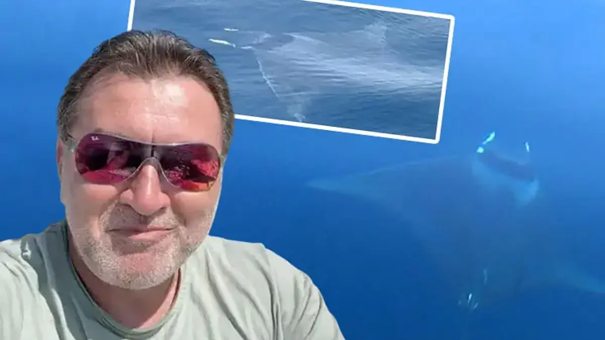 Gökçeada'da 'şeytan' alarmı! Boynuzları var ama göründüğü gibi değil