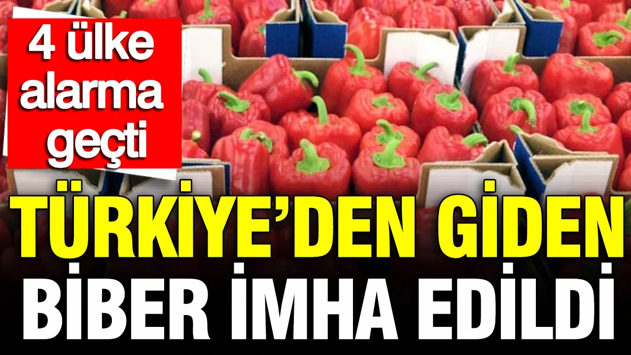 Türkiye'den giden biber imha edildi: 4 ülke alarma geçti