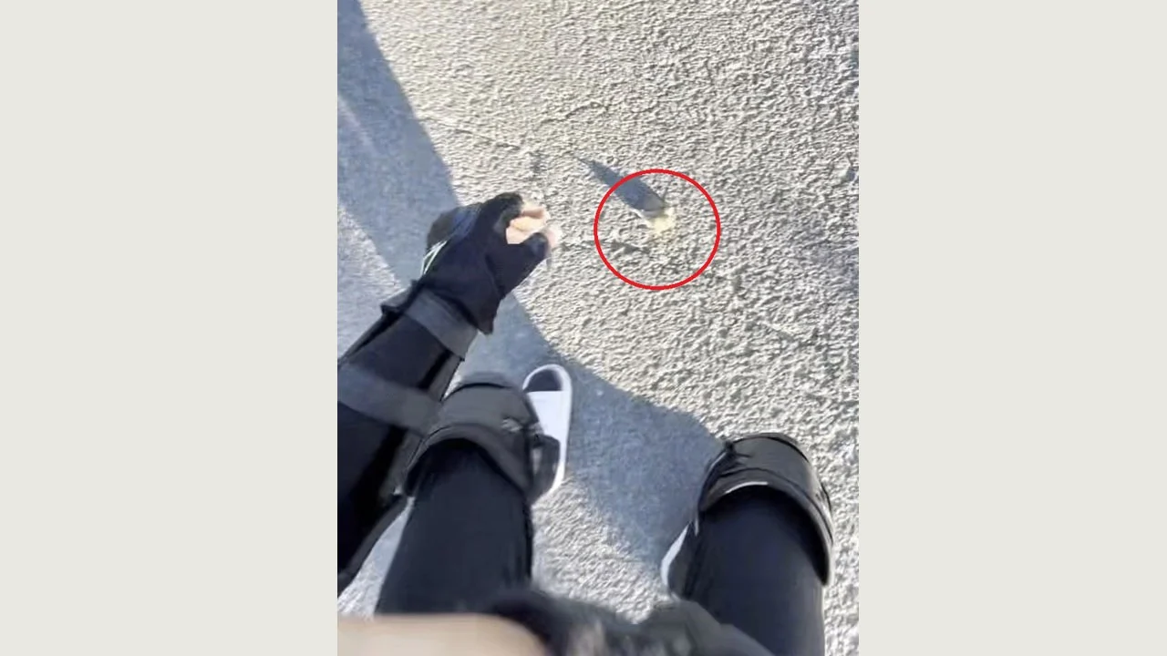 Yolda çırpınan serçeyi fark etti! Motokurye kuşu böyle kurtardı