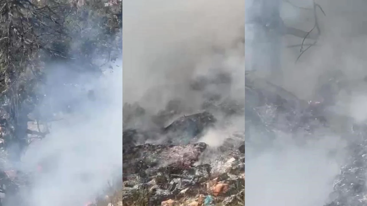 Mersin’deki çöp döküm alanındaki yangın ormana sıçradı