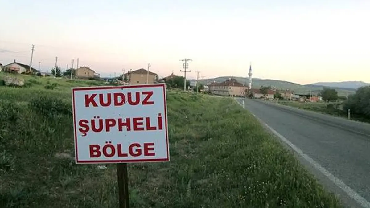 Kuduz vakası nedeniyle ilçe karantinaya alındı
