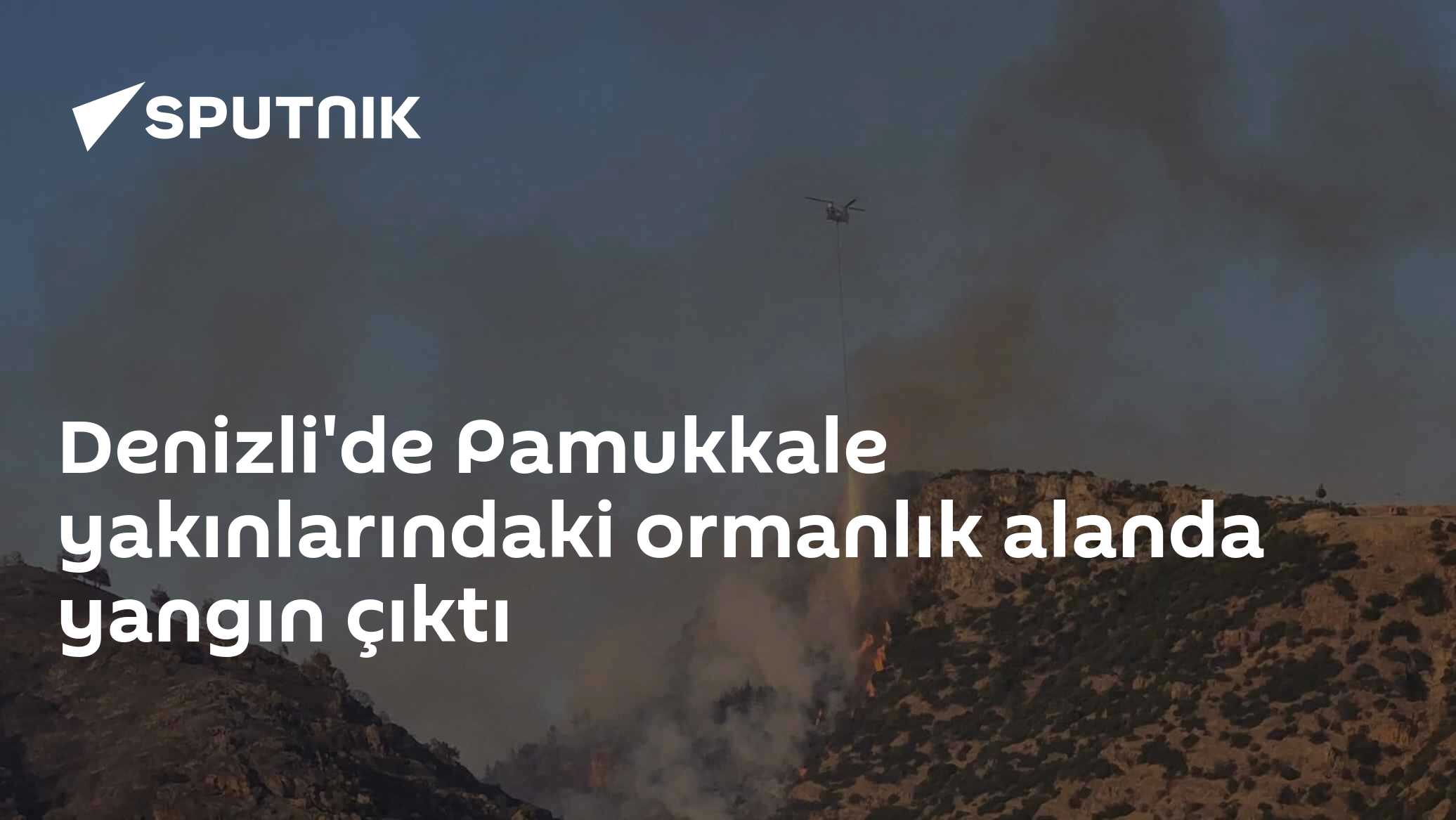 Denizli'de Pamukkale yakınlarındaki ormanlık alanda yangın çıktı