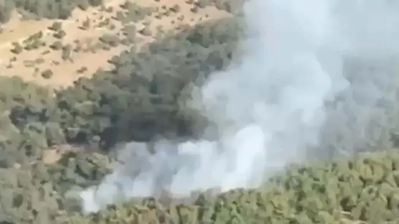 Balıkesir'de orman yangını