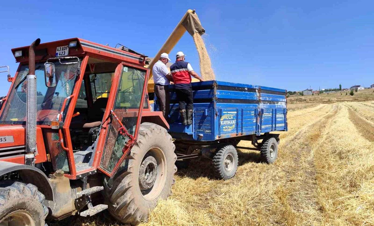 Kütahya'da yerli ve milli arpa çeşitlerinin hasadı yapıldı