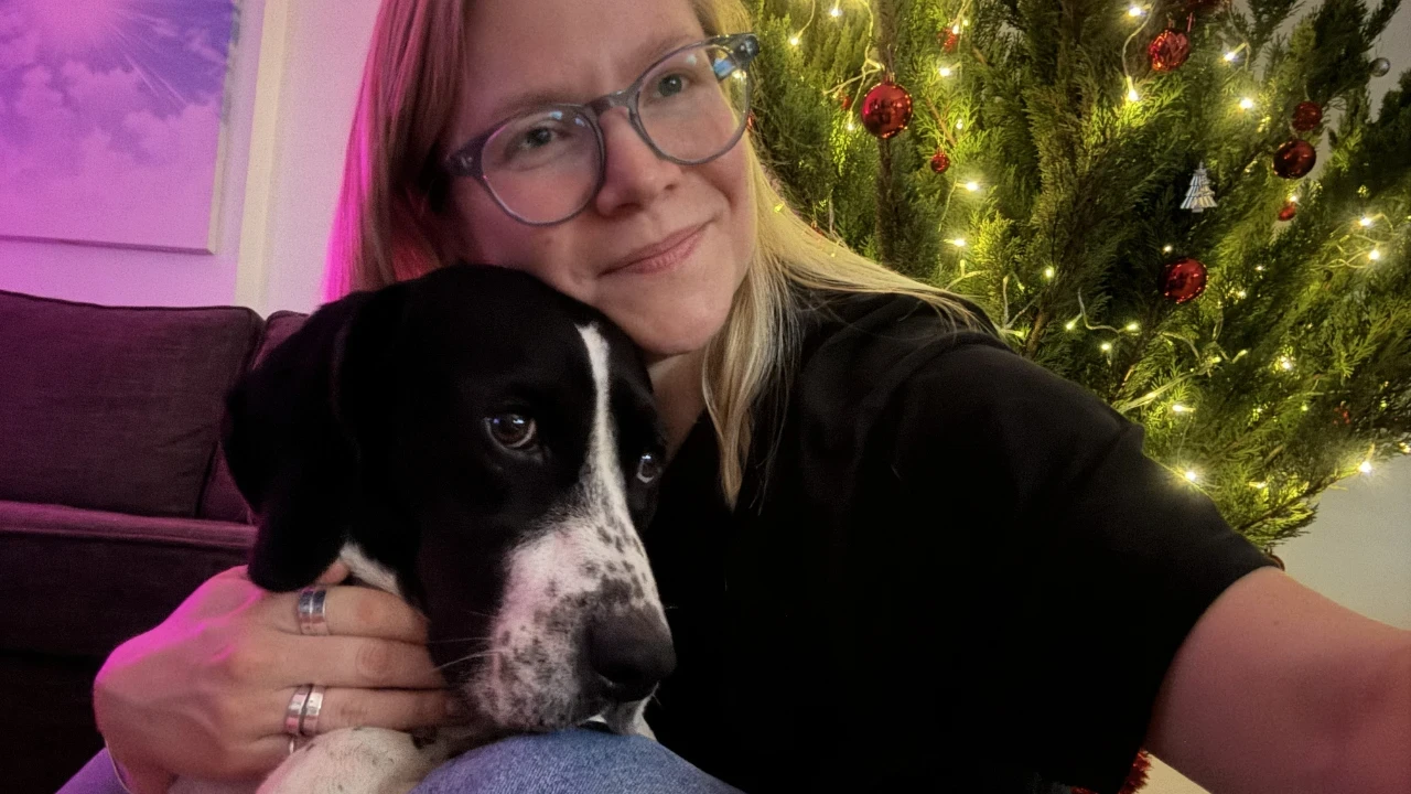 Köpeğini bulana bin dolar verecek