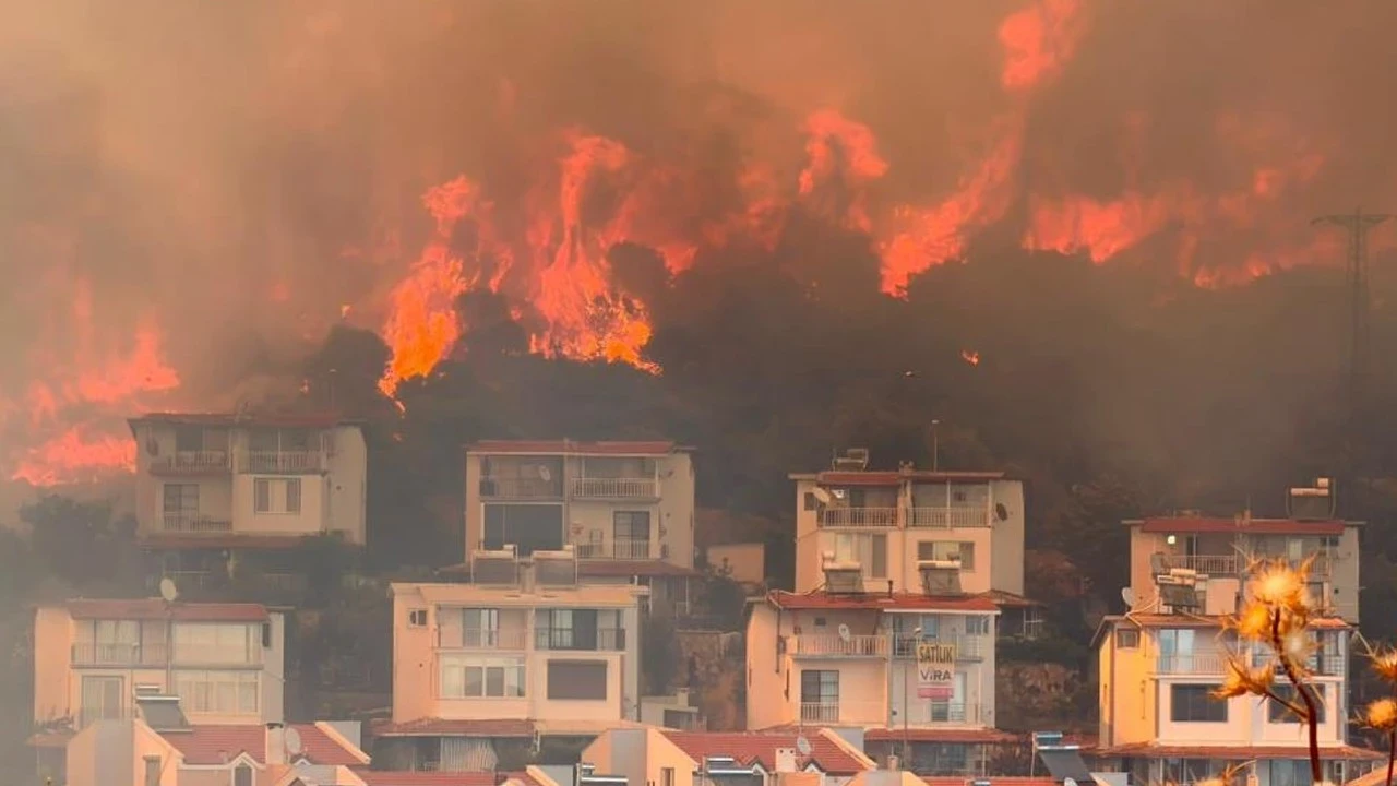 İzmir Dikili'deki yangın kontrol altına alındı