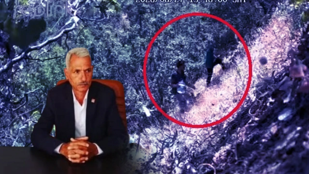 CHP ilçe başkanı ve oğlu gözaltında! Kenevirlerin bakımını yaparken fotokapana yakalandılar