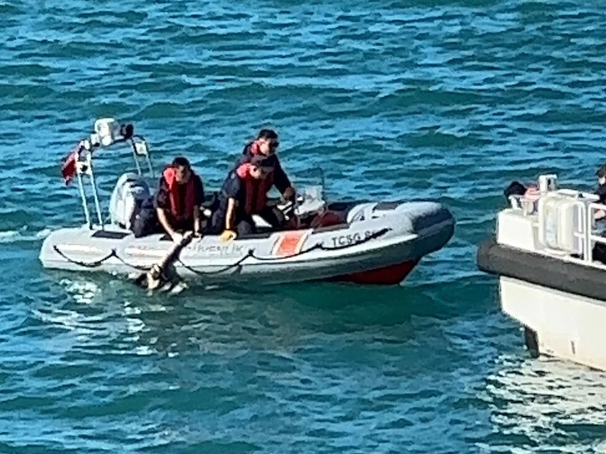Zonguldak'ta balık tutan yaşlı adam denize düştü