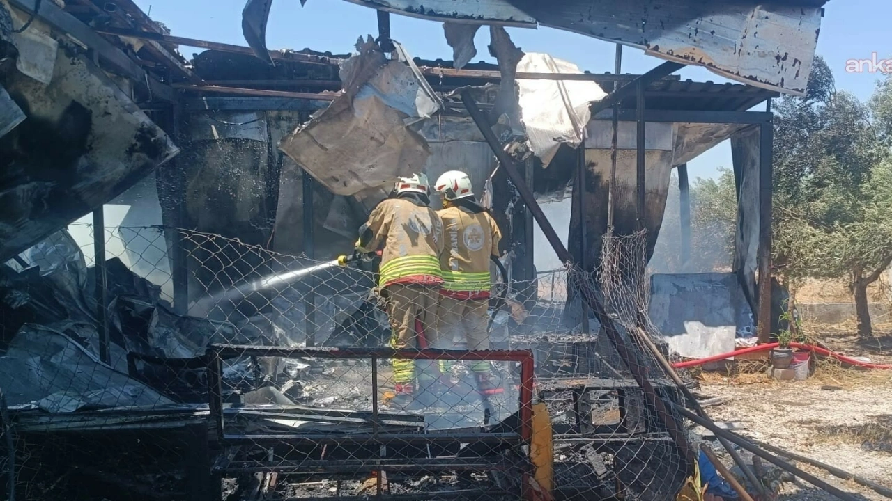Kavurucu sıcaklar Manisa'yı alevlere teslim etti: Bir günde 50 yangın