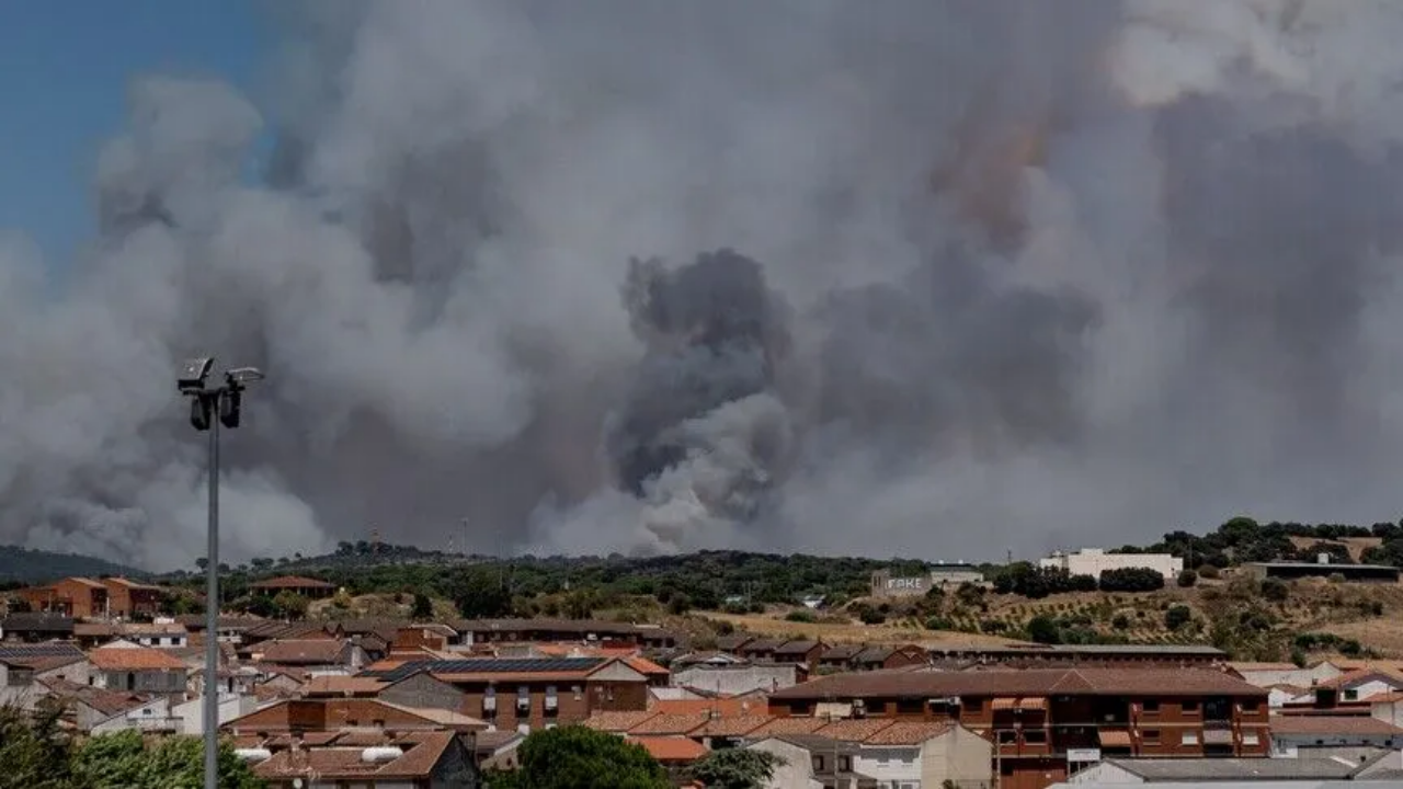 İspanya'nın Madrid ve Avila kentlerinde orman yangını: Yaklaşık 60 bin kişi tahliye edildi