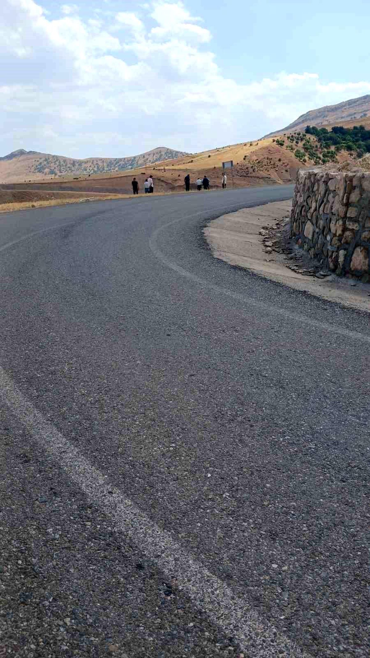 Siirt'te şarampole devrilen kamyonetteki 3 kişi yaralandı
