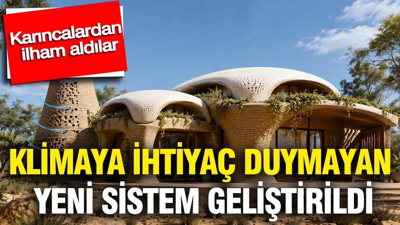 Karıncalardan ilham aldılar: Klimaya ihtiyaç duymayan yeni sistem geliştirildi